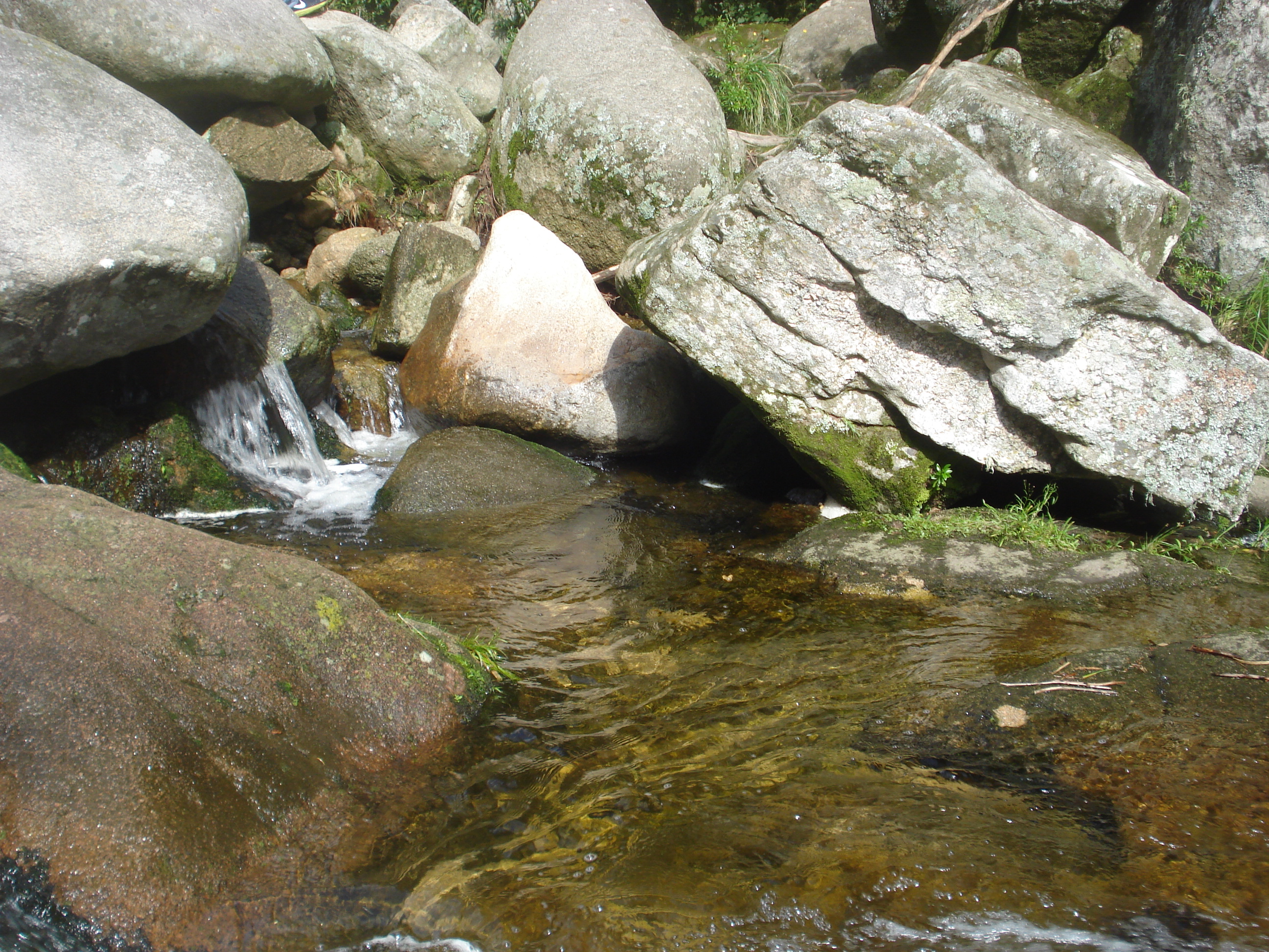 fotos/2011 - Los Reartes/DSC00501.JPG